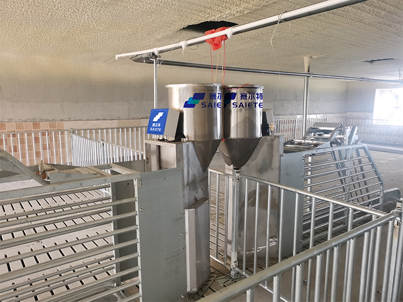 Electronic sow feeding